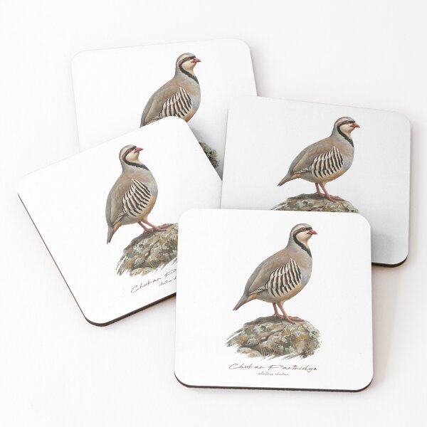 Item preview, Chukar Partridge on Rustic Rock Bird Illustration designed and sold by Takeda-art.