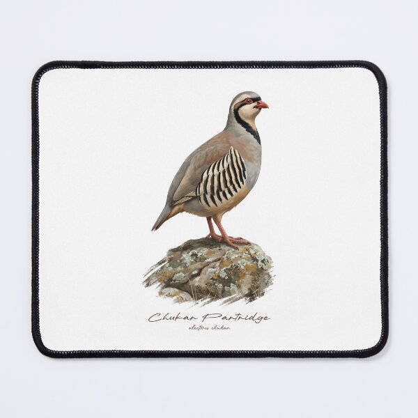 Item preview, Chukar Partridge on Rustic Rock Bird Illustration designed and sold by Takeda-art.