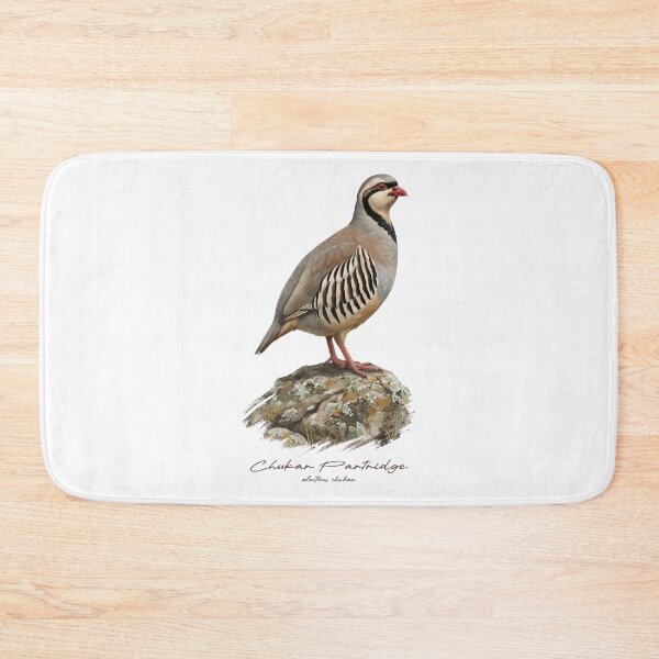 Item preview, Chukar Partridge on Rustic Rock Bird Illustration designed and sold by Takeda-art.