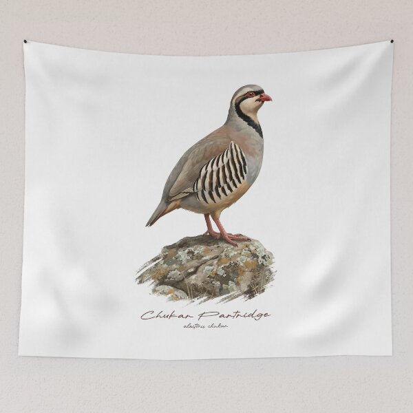 Item preview, Chukar Partridge on Rustic Rock Bird Illustration designed and sold by Takeda-art.