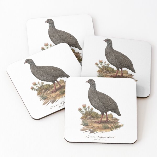 Item preview, Cape Spurfowl on Dried Land Bird Illustration designed and sold by Takeda-art.