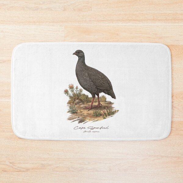 Item preview, Cape Spurfowl on Dried Land Bird Illustration designed and sold by Takeda-art.