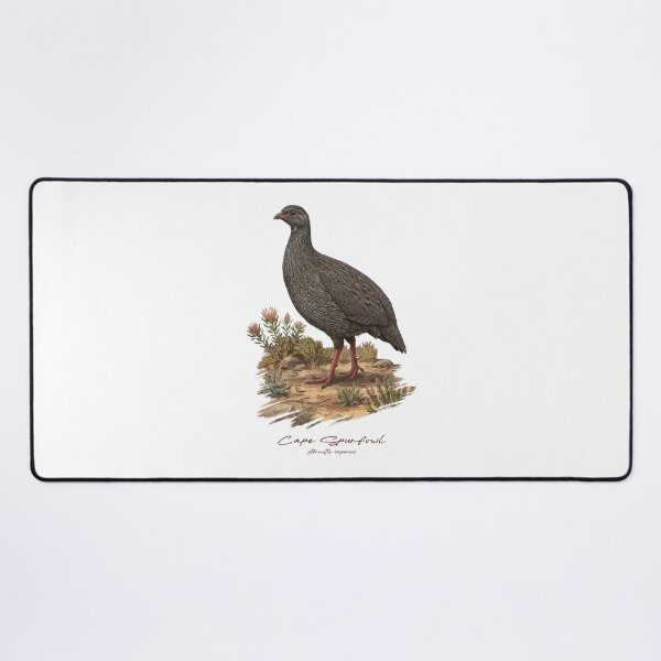 Item preview, Cape Spurfowl on Dried Land Bird Illustration designed and sold by Takeda-art.