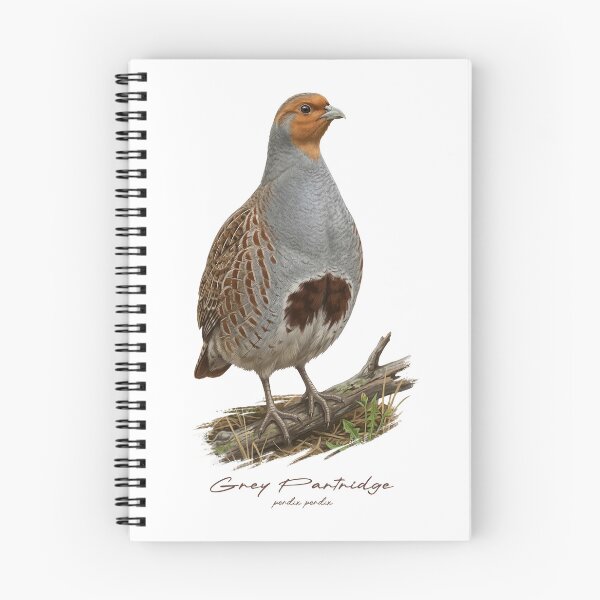 Item preview, Grey Partridge on Grassland Bird Illustration designed and sold by Takeda-art.