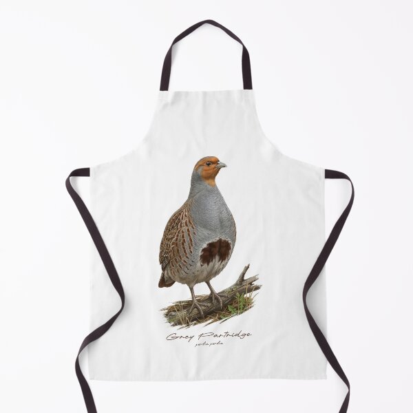 Item preview, Grey Partridge on Grassland Bird Illustration designed and sold by Takeda-art.
