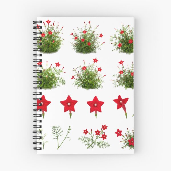 Item preview, Red Cypress Vine Cardinal Flower Botanical Set Aesthetic Sticker pack Sheet designed and sold by Rehnair.