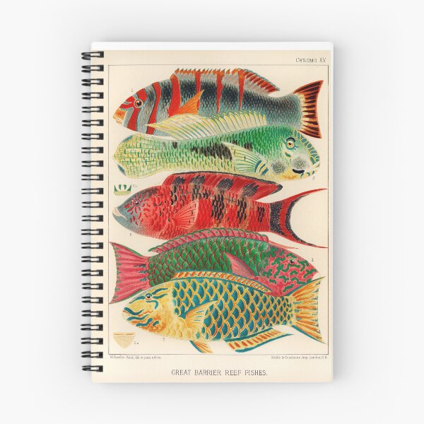 Item preview, Great Barrier Reef designed and sold by Gilmour-Prints.