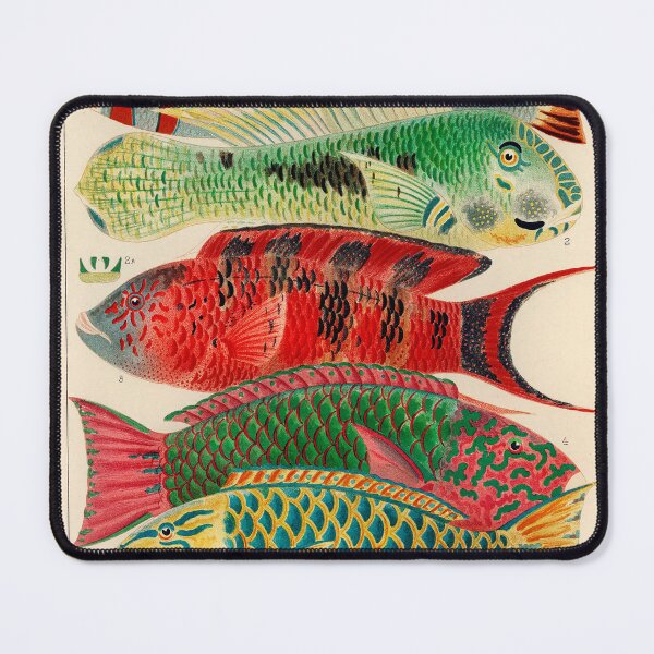 Item preview, Great Barrier Reef designed and sold by Gilmour-Prints.
