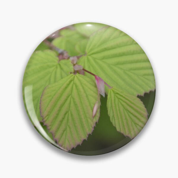 Item preview, Ribbed Green Leaves with Pink Edged Margins designed and sold by MiraNadaPrints.