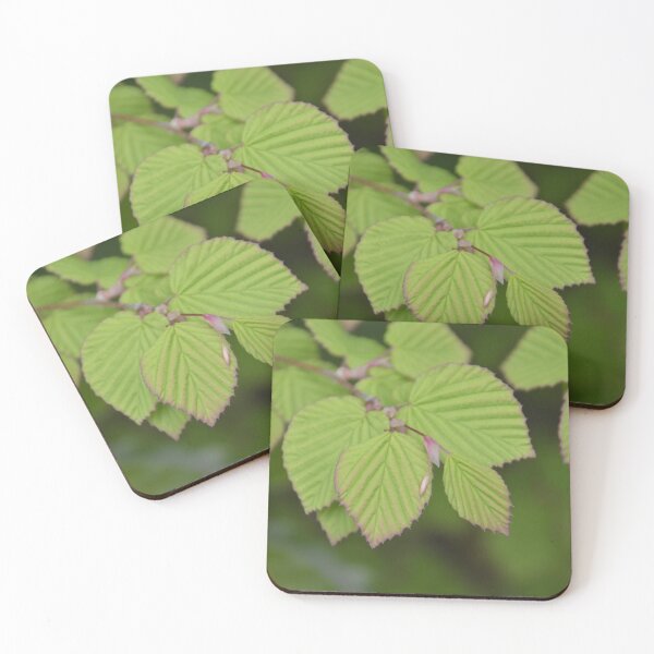Item preview, Ribbed Green Leaves with Pink Edged Margins designed and sold by MiraNadaPrints.