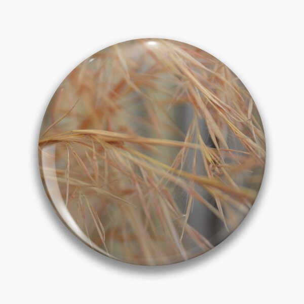 Item preview, Golden Ornamental Grasses in Soft Warm Light designed and sold by MiraNadaPrints.