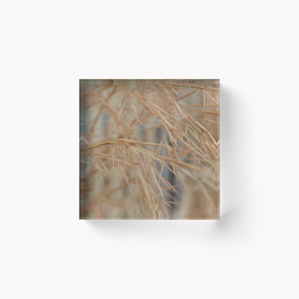 Item preview, Golden Ornamental Grasses in Soft Warm Light designed and sold by MiraNadaPrints.