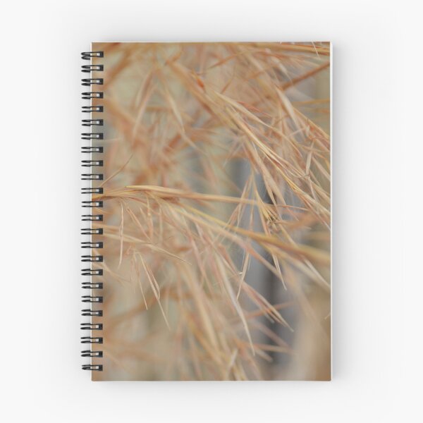 Item preview, Golden Ornamental Grasses in Soft Warm Light designed and sold by MiraNadaPrints.