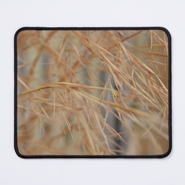Item preview, Golden Ornamental Grasses in Soft Warm Light designed and sold by MiraNadaPrints.