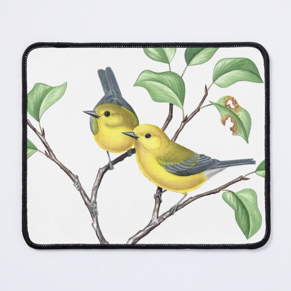 Artikelvorschau, Prothonotary Warbler (Protonotaria citrea) entworfen und verkauft von JadaFitch.