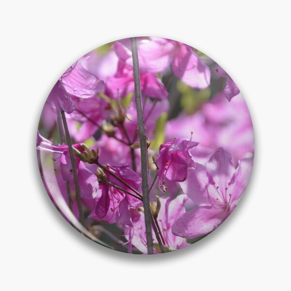 Artikelvorschau, Leuchtend rosafarbener Rhododendronstrauch in voller Blüte entworfen und verkauft von MiraNadaPrints.