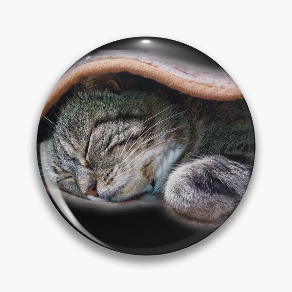 Item preview, Cat asleep under a blanket! designed and sold by Alan-David.