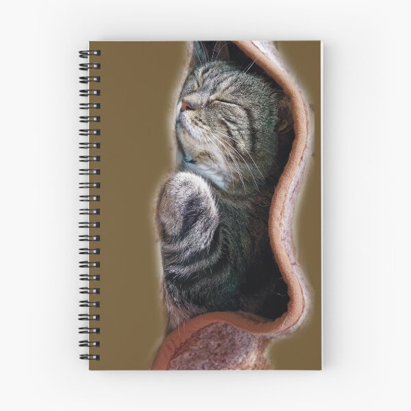 Item preview, Cat asleep under a blanket! designed and sold by Alan-David.