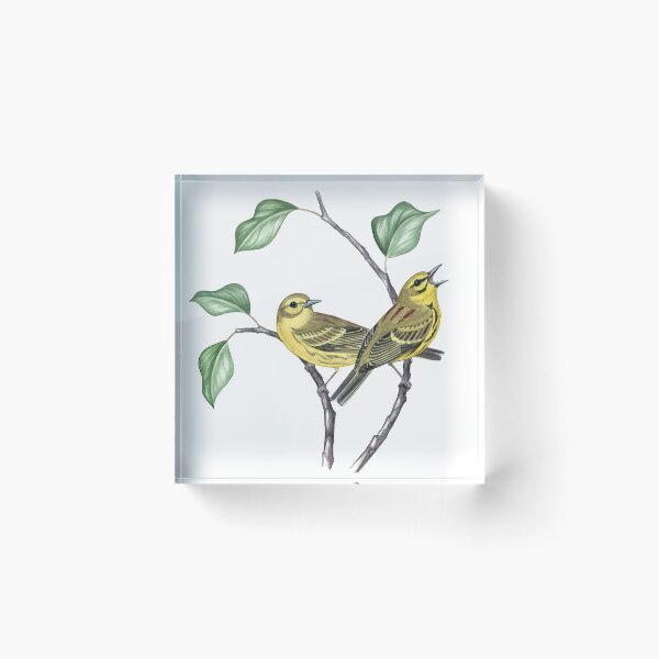 Item preview, Prairie Warbler (Setophaga discolor) designed and sold by JadaFitch.