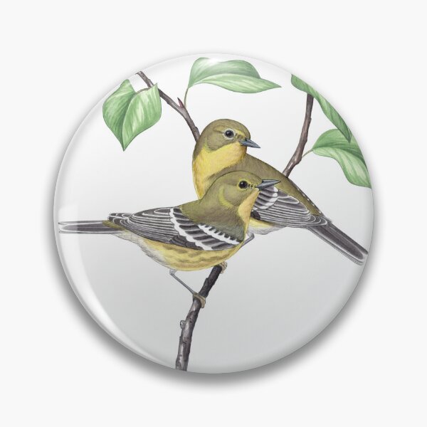 Item preview, Pine Warbler (Setophaga pinus) designed and sold by JadaFitch.