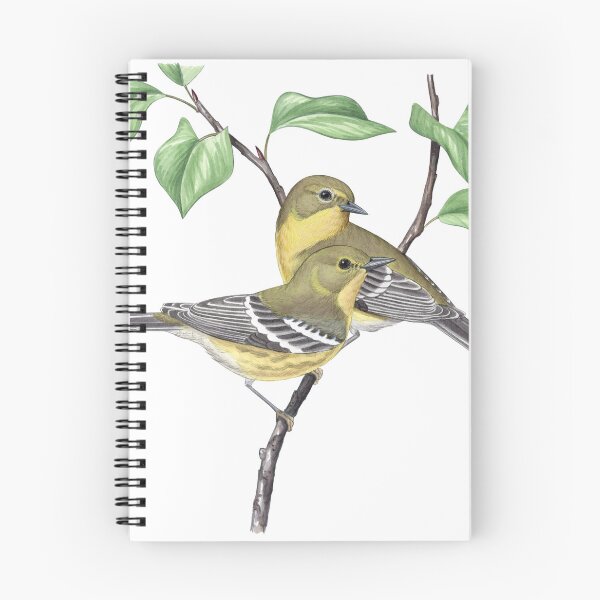 Item preview, Pine Warbler (Setophaga pinus) designed and sold by JadaFitch.
