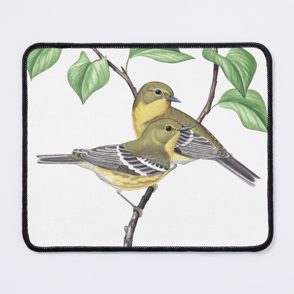 Item preview, Pine Warbler (Setophaga pinus) designed and sold by JadaFitch.