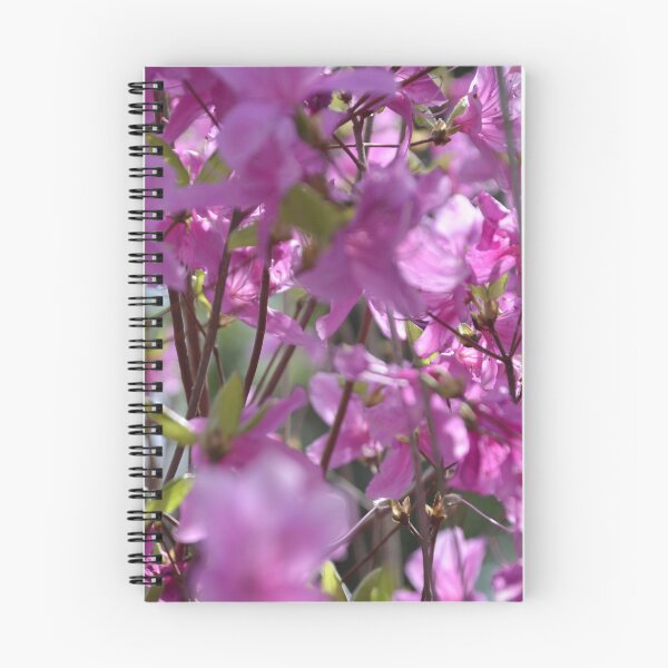 Item preview, Arbusto de azaleas de color rosa brillante florece bajo la luz del sol. designed and sold by MiraNadaPrints.