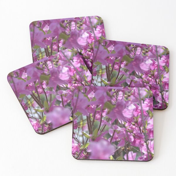 Item preview, Bright Pink Azalea Bush Blossoms in Sunlight designed and sold by MiraNadaPrints.