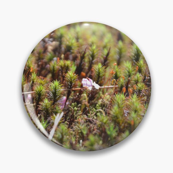 Item preview, Textured Star Moss Carpet on Ground designed and sold by MiraNadaPrints.