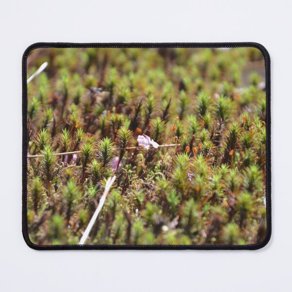 Item preview, Textured Star Moss Carpet on Ground designed and sold by MiraNadaPrints.