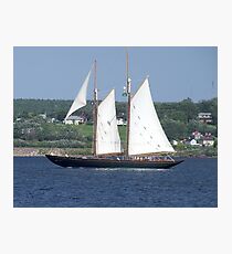 Virginia Photographic Print