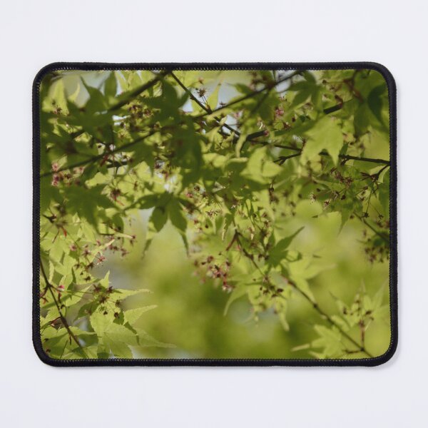 Item preview, Sunlit Green Japanese Maple Leaves and Flowers designed and sold by MiraNadaPrints.