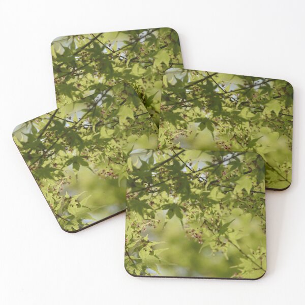 Item preview, Sunlit Green Japanese Maple Leaves and Flowers designed and sold by MiraNadaPrints.