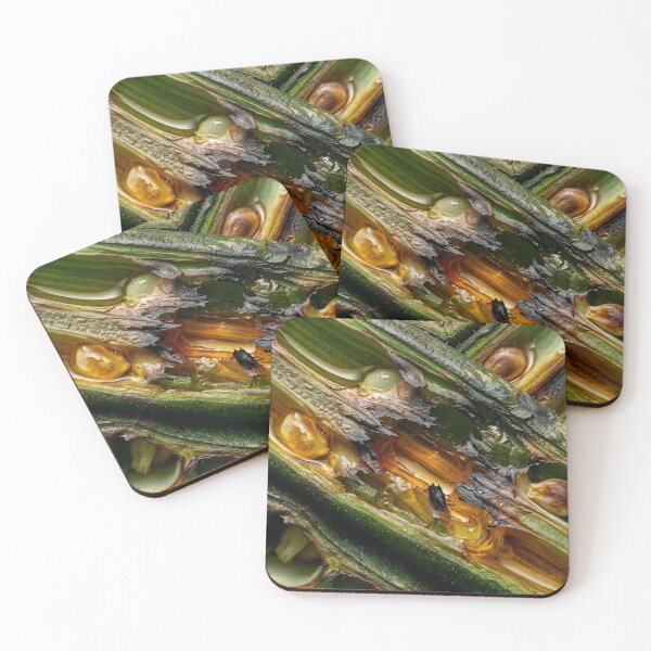Item preview, Heat Hiding in Plain Sight designed and sold by ASSEMBLE WONDER.