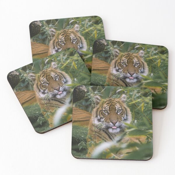 Item preview, Cheeky Tiger designed and sold by Odysseylens.