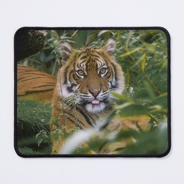 Item preview, Cheeky Tiger designed and sold by Odysseylens.