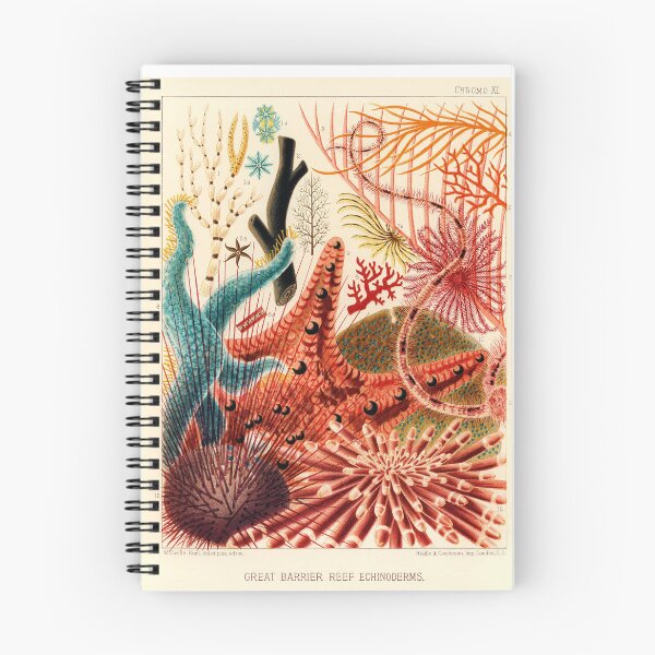 Item preview, Echinoderms designed and sold by Gilmour-Prints.