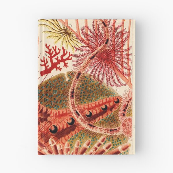 Item preview, Echinoderms designed and sold by Gilmour-Prints.
