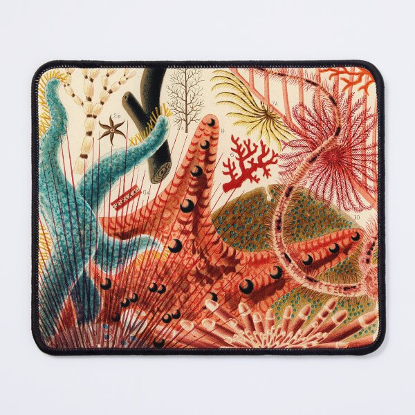 Item preview, Echinoderms designed and sold by Gilmour-Prints.
