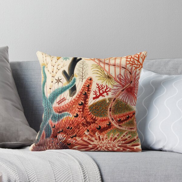 Item preview, Echinoderms designed and sold by Gilmour-Prints.