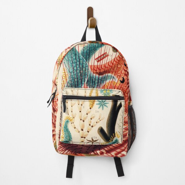 Item preview, Echinoderms designed and sold by Gilmour-Prints.