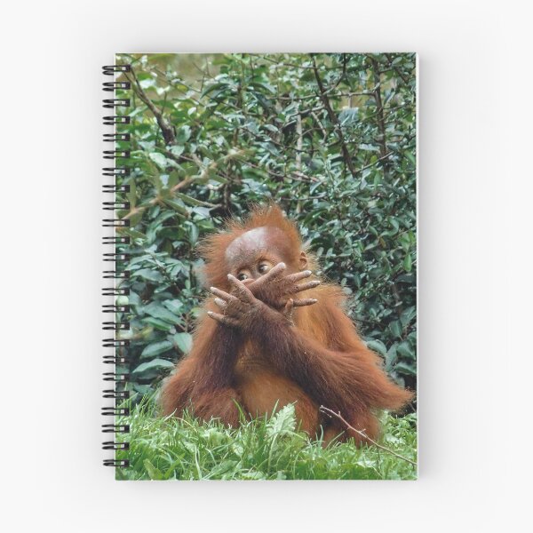 Item preview, Shy Orangutan designed and sold by Odysseylens.