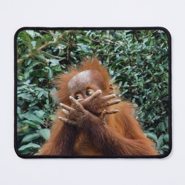 Item preview, Shy Orangutan designed and sold by Odysseylens.