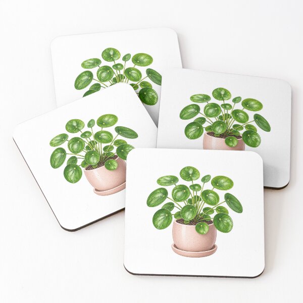 Item preview, Pilea  designed and sold by Sketch Garden.