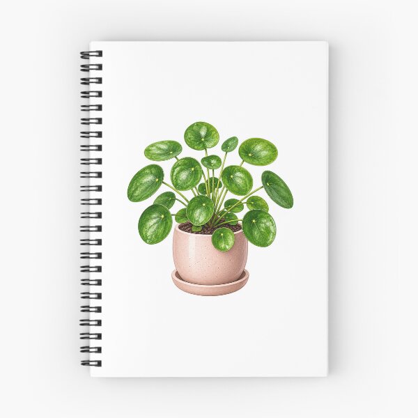 Item preview, Pilea  designed and sold by Sketch Garden.
