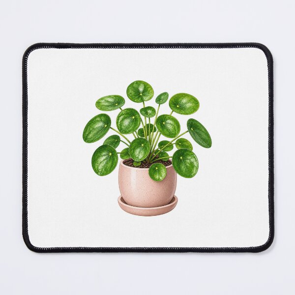 Item preview, Pilea  designed and sold by Sketch Garden.