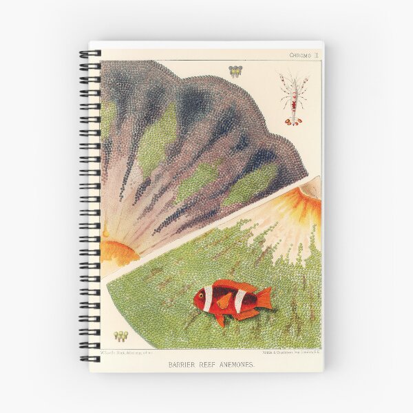 Item preview, Great Barrier Reef IV designed and sold by Gilmour-Prints.