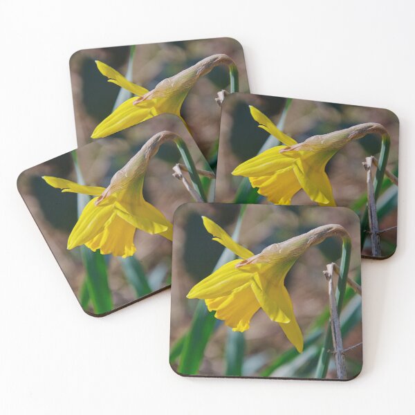 Item preview, Yellow Daffodil Profile designed and sold by ShotsbyDesiree.