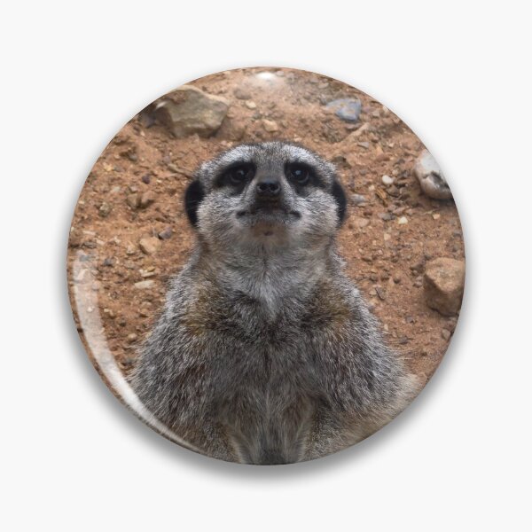 Artikelvorschau, Chill Meerkat entworfen und verkauft von Odysseylens.