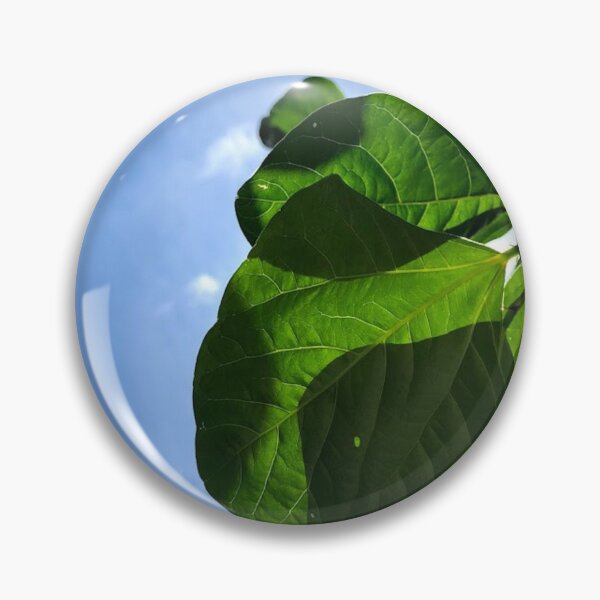 Item preview, Leaves in sunlight, no filter photograph designed and sold by GiSilver.